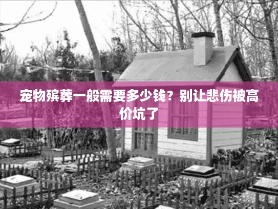 宠物殡葬一般需要多少钱？别让悲伤被高价坑了
