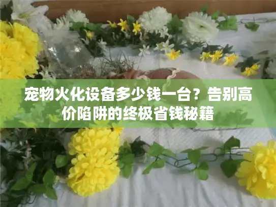 宠物火化设备多少钱一台？告别高价陷阱的终极省钱秘籍