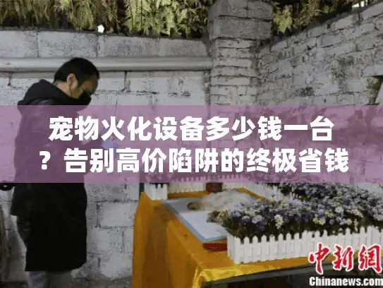 宠物火化设备多少钱一台？告别高价陷阱的终极省钱秘籍