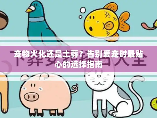 宠物火化还是土葬?告别爱宠时最贴心的选择指南 宠物火化还是土葬?告别爱宠时最贴心的选择指南