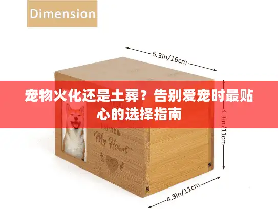 宠物火化还是土葬?告别爱宠时最贴心的选择指南 宠物火化还是土葬?告别爱宠时最贴心的选择指南