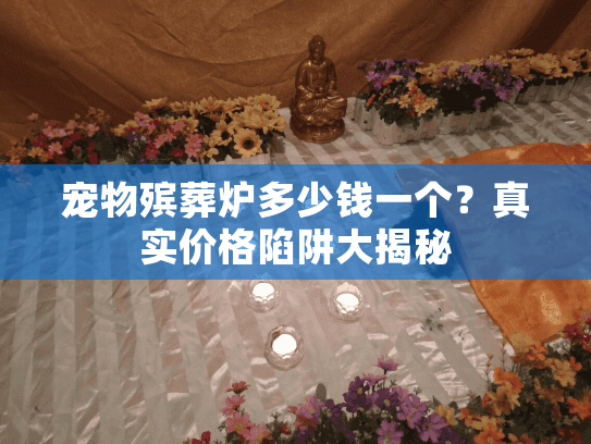 宠物殡葬炉多少钱一个？真实价格陷阱大揭秘