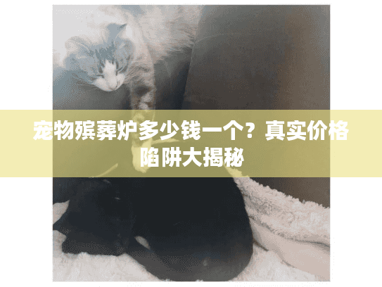 宠物殡葬炉多少钱一个？真实价格陷阱大揭秘