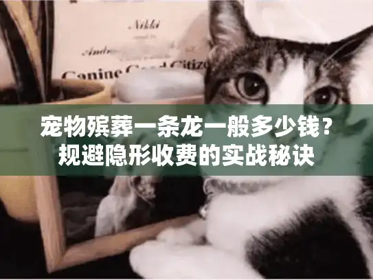 宠物殡葬一条龙一般多少钱？规避隐形收费的实战秘诀