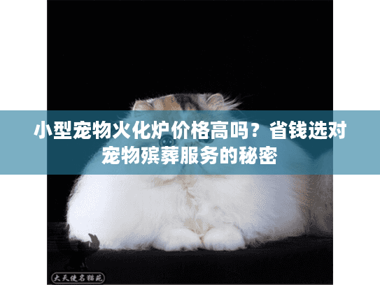 小型宠物火化炉价格高吗？省钱选对宠物殡葬服务的秘密