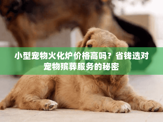 小型宠物火化炉价格高吗？省钱选对宠物殡葬服务的秘密
