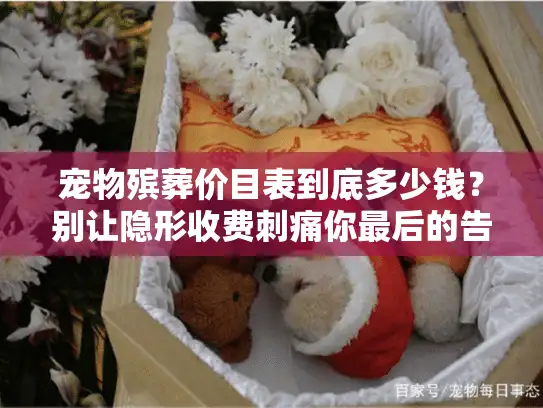 宠物殡葬价目表到底多少钱？别让隐形收费刺痛你最后的告别