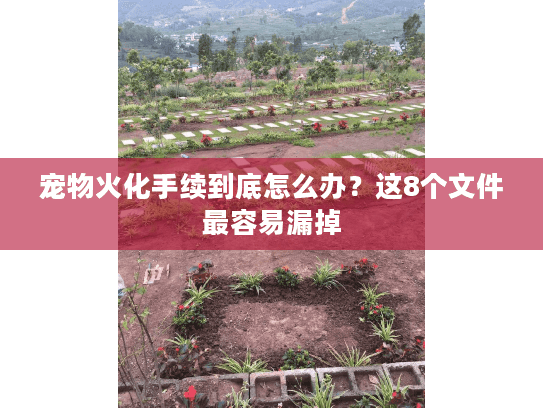 宠物火化手续到底怎么办?这8个文件最容易漏掉 宠物火化手续到底怎么办?这8个文件最容易漏掉