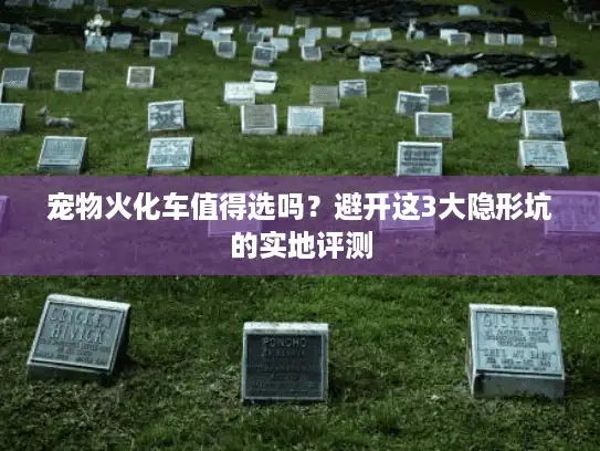 宠物火化车值得选吗?避开这3大隐形坑的实地评测 宠物火化车值得选吗?避开这3大隐形坑的实地评测