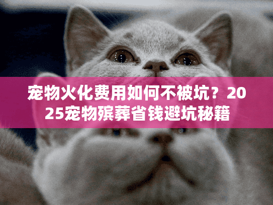 宠物火化费用如何不被坑?2025宠物殡葬省钱避坑秘籍 宠物火化费用如何不被坑?2025宠物殡葬省钱避坑秘籍