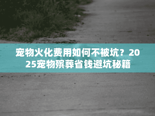 宠物火化费用如何不被坑?2025宠物殡葬省钱避坑秘籍 宠物火化费用如何不被坑?2025宠物殡葬省钱避坑秘籍