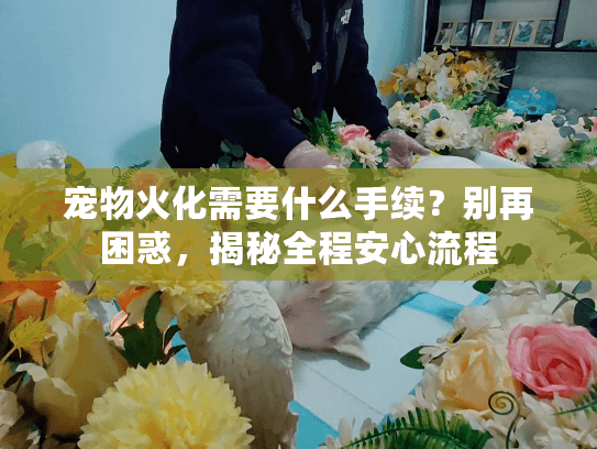 宠物火化需要什么手续？别再困惑，揭秘全程安心流程