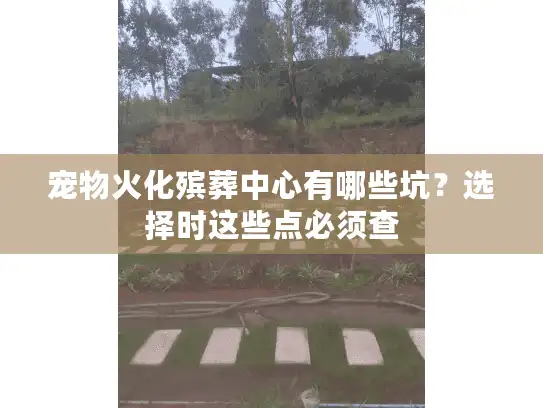 宠物火化殡葬中心有哪些坑?选择时这些点必须查 宠物火化殡葬中心有哪些坑?选择时这些点必须查