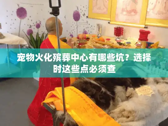 宠物火化殡葬中心有哪些坑?选择时这些点必须查 宠物火化殡葬中心有哪些坑?选择时这些点必须查