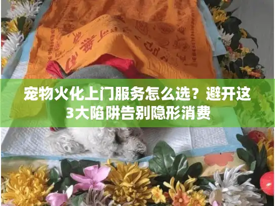 宠物火化上门服务怎么选?避开这3大陷阱告别隐形消费 宠物火化上门服务怎么选?避开这3大陷阱告别隐形消费