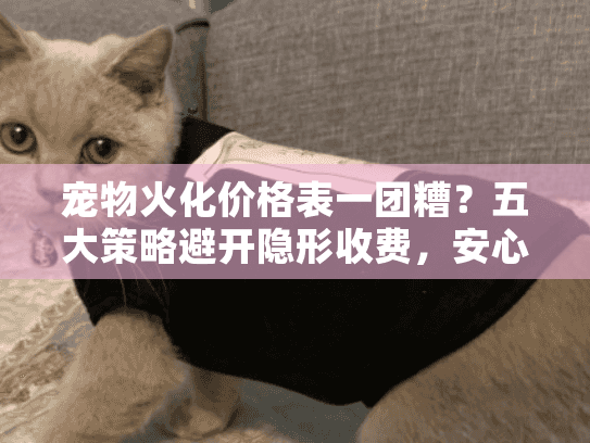 宠物火化价格表一团糟?五大策略避开隐形收费,安心送别爱宠 宠物火化价格表一团糟?五大策略避开隐形收费,安心送别爱宠
