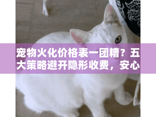 宠物火化价格表一团糟?五大策略避开隐形收费,安心送别爱宠 宠物火化价格表一团糟?五大策略避开隐形收费,安心送别爱宠
