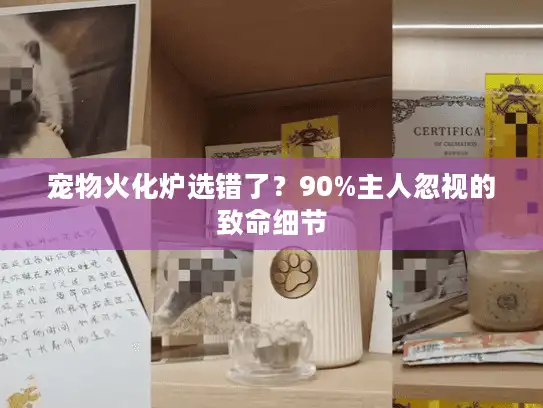 宠物火化炉选错了？90%主人忽视的致命细节