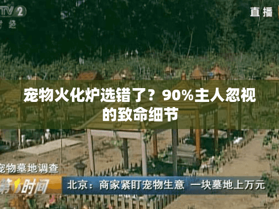 宠物火化炉选错了？90%主人忽视的致命细节