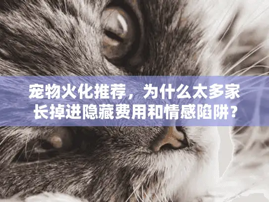 宠物火化推荐，为什么太多家长掉进隐藏费用和情感陷阱？