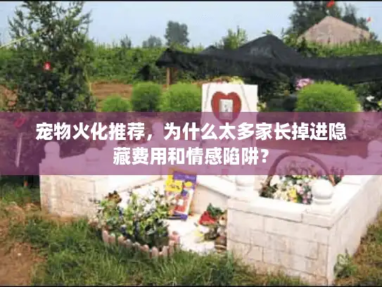 宠物火化推荐，为什么太多家长掉进隐藏费用和情感陷阱？