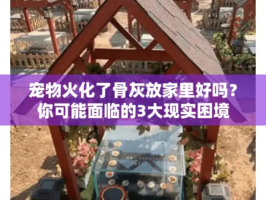 宠物火化了骨灰放家里好吗?你可能面临的3大现实困境 宠物火化了骨灰放家里好吗?你可能面临的3大现实困境