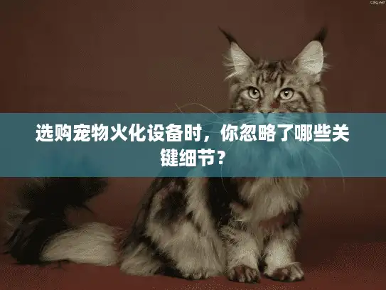 选购宠物火化设备时，你忽略了哪些关键细节？