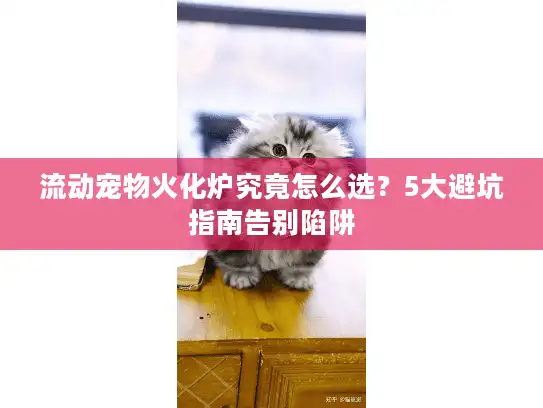 流动宠物火化炉究竟怎么选？5大避坑指南告别陷阱