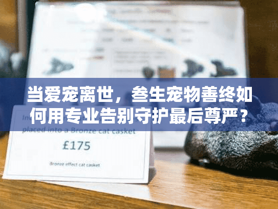 当爱宠离世,叁生宠物善终如何用专业告别守护最后尊严? 当爱宠离世,叁生宠物善终如何用专业告别守护最后尊严?