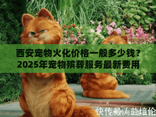 西安宠物火化价格一般多少钱?2025年宠物殡葬服务最新费用解析 西安宠物火化价格一般多少钱?2025年宠物殡葬服务最新费用解析