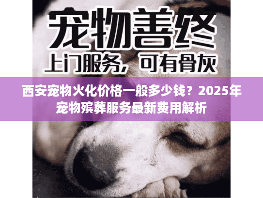 西安宠物火化价格一般多少钱?2025年宠物殡葬服务最新费用解析 西安宠物火化价格一般多少钱?2025年宠物殡葬服务最新费用解析