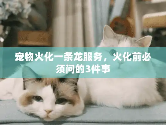 宠物火化一条龙服务,火化前必须问的3件事 宠物火化一条龙服务,火化前必须问的3件事