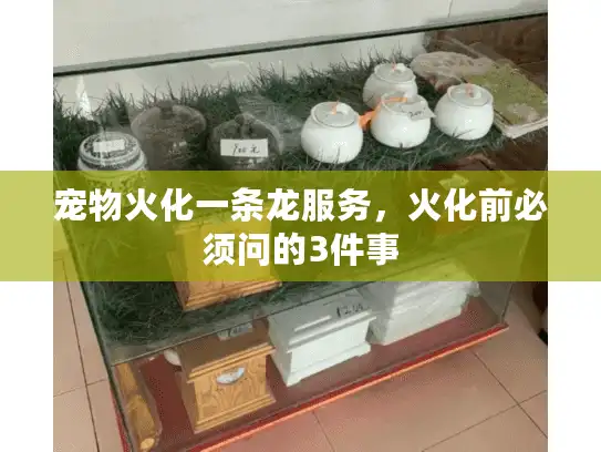 宠物火化一条龙服务,火化前必须问的3件事 宠物火化一条龙服务,火化前必须问的3件事