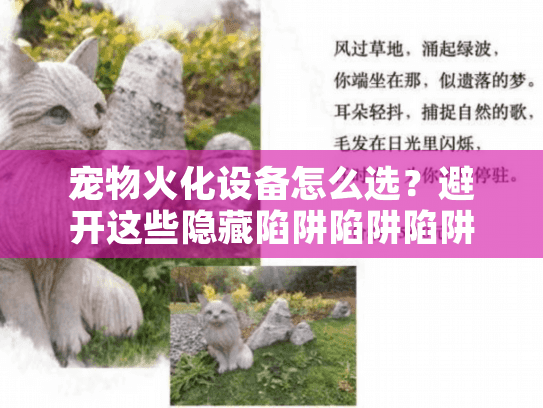 宠物火化设备怎么选？避开这些隐藏陷阱陷阱陷阱！