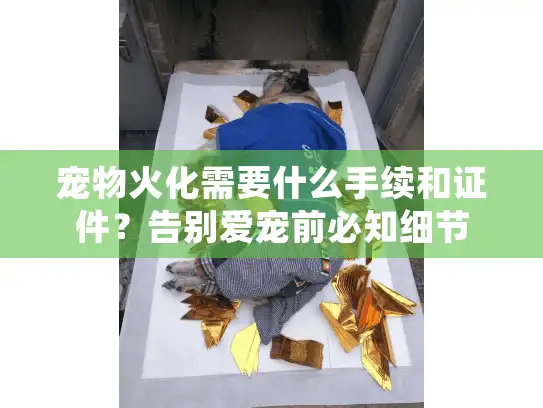 宠物火化需要什么手续和证件？告别爱宠前必知细节