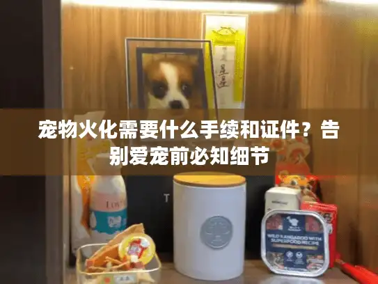 宠物火化需要什么手续和证件？告别爱宠前必知细节