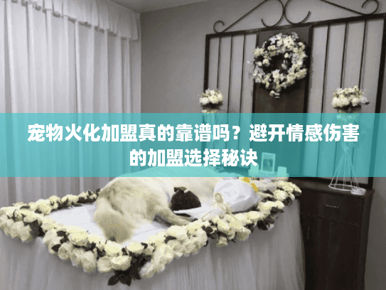 宠物火化加盟真的靠谱吗？避开情感伤害的加盟选择秘诀