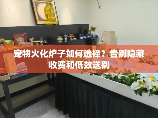宠物火化炉子如何选择？告别隐藏收费和低效送别