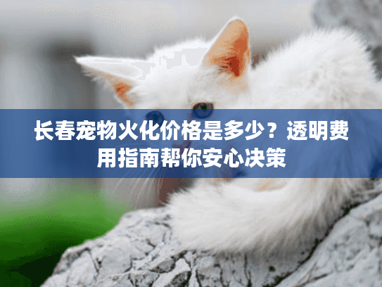 长春宠物火化价格是多少？透明费用指南帮你安心决策