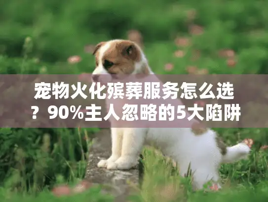 宠物火化殡葬服务怎么选？90%主人忽略的5大陷阱