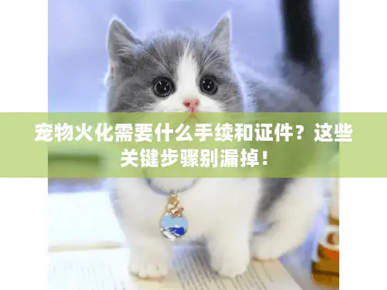 宠物火化需要什么手续和证件？这些关键步骤别漏掉！