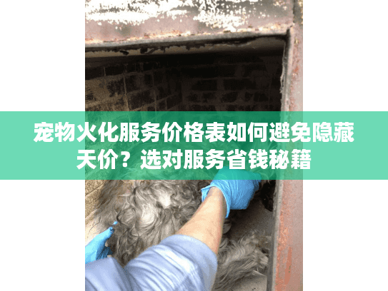 宠物火化服务价格表如何避免隐藏天价？选对服务省钱秘籍