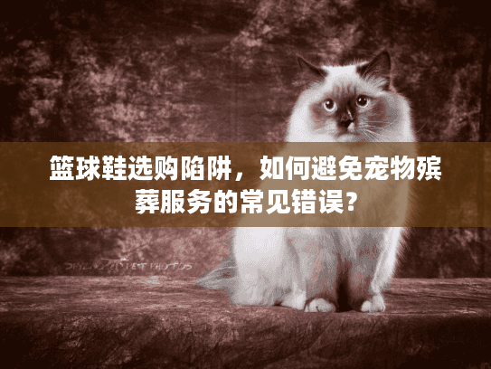 篮球鞋选购陷阱，如何避免宠物殡葬服务的常见错误？