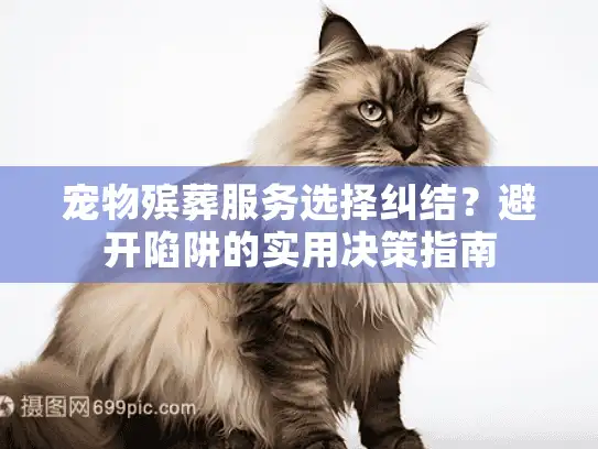 宠物殡葬服务选择纠结？避开陷阱的实用决策指南