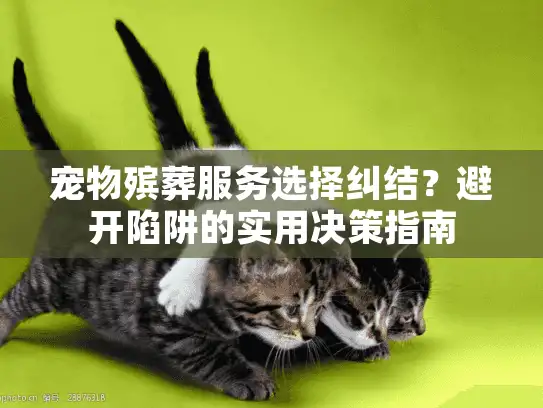 宠物殡葬服务选择纠结？避开陷阱的实用决策指南