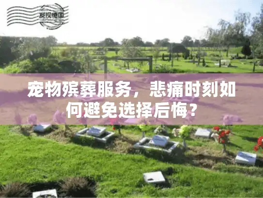 宠物殡葬服务，悲痛时刻如何避免选择后悔？