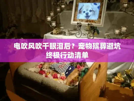 电吹风吹干眼泪后？宠物殡葬避坑终极行动清单