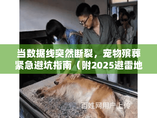 当数据线突然断裂，宠物殡葬紧急避坑指南（附2025避雷地图）