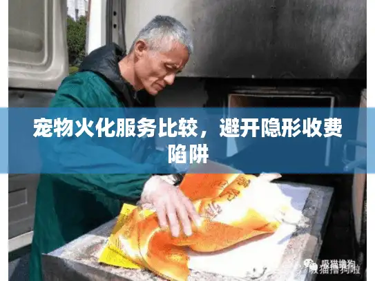 宠物火化服务比较,避开隐形收费陷阱 宠物火化服务比较,避开隐形收费陷阱