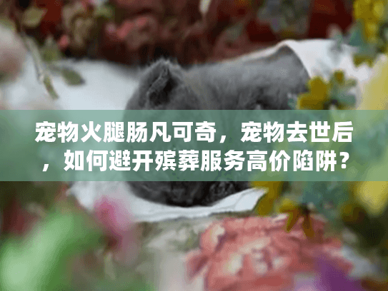 宠物火腿肠凡可奇,宠物去世后,如何避开殡葬服务高价陷阱? 宠物火腿肠凡可奇,宠物去世后,如何避开殡葬服务高价陷阱?